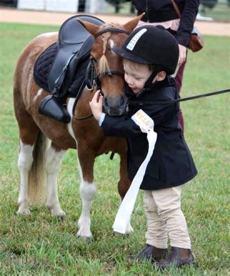 This is very sweet | Horses, Beautiful horses, Cute horses