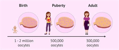 Ovarian reserve with age