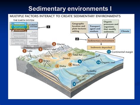 Sediments and Sedimentary Rocks. Sedimentary rock (a) Rock