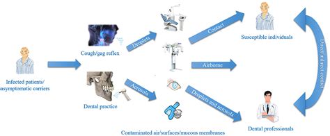 Frontiers | Clinical Guidelines for Dentistry in China During the ...