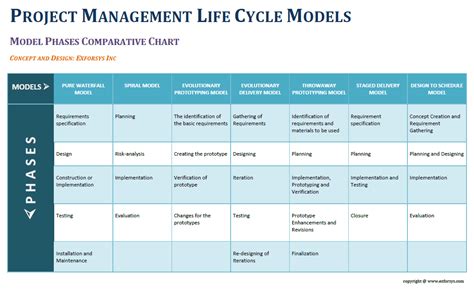 Project Management Life Cycle | IT Training and Consulting – Exforsys