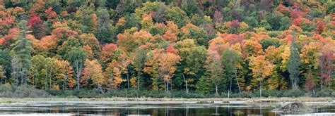 Fall Rhapsody in Gatineau Park