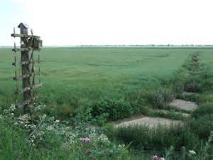 Nesting box on an old telegraph pole © Richard Humphrey :: Geograph ...