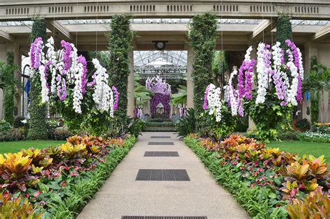 Longwood Gardens Orchid Extravaganza Review - Grading Gardens