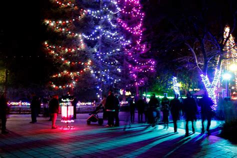 Zoolights At the Fresno Chaffee Zoo | Kings River Life Magazine