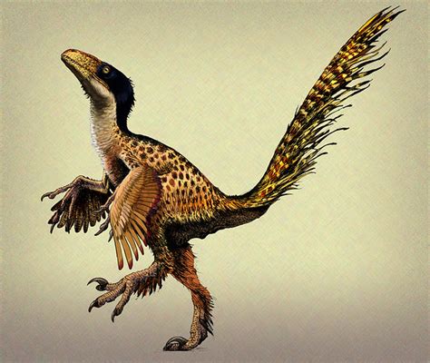 Love in the Time of Chasmosaurs: The Evolution of Utahraptor