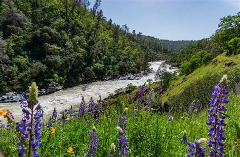 Camp On California History At These Yuba River Camping Destinations