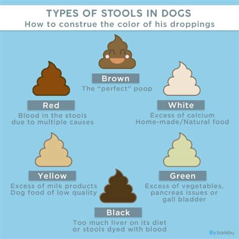 top poop color charts free to download in pdf format dog poo chart - dog poop color chart whats ...