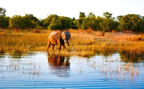 Zimbabwe Tourism: Your Comprehensive Zimbabwe Travel Guide - The Travel ...