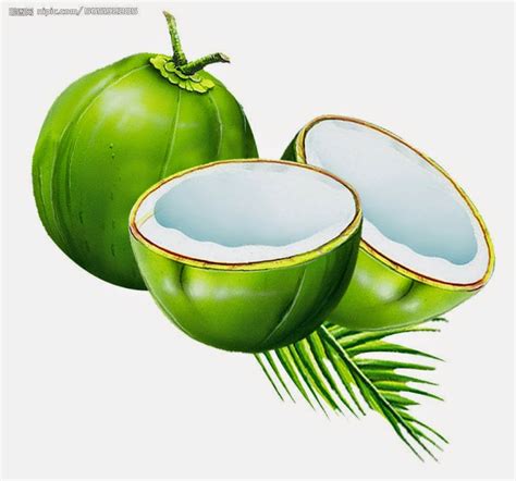 Pokok Kelapa Clipart 187 Clipart Stationary Birthday Imagesee - Riset