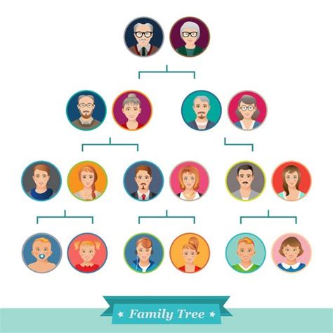 Unraveling the Family Web: Understanding Degrees of Consanguinity