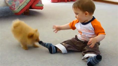 Puppies and Babies Playing Together Compilation #babypuppies #puppyandbaby #babyplay… | Baby ...