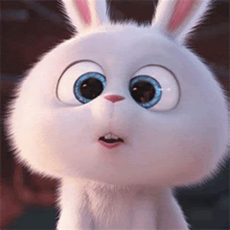 Snowball Look The Secret Life Of Pets GIF - SnowballLook Snowball TheSecretLifeOfPets - Discover ...