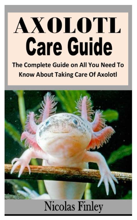 Buy AXOLOTL CARE GUIDE: The Complete Guide on All You Need To Know About Taking Care Of Axolotl ...