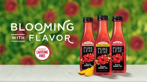 No Shadow Here: Spring Arrives Early As Pure Leaf® Releases New Herbal Iced Teas Blooming With ...