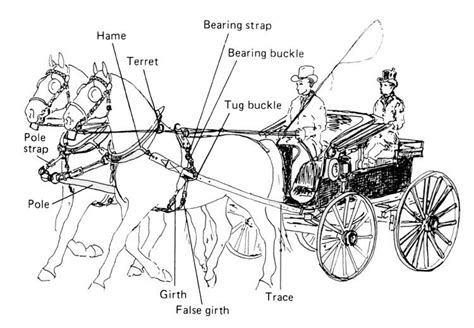 42+ Horse cart images for drawing ideas in 2021 | runninghorsephoto