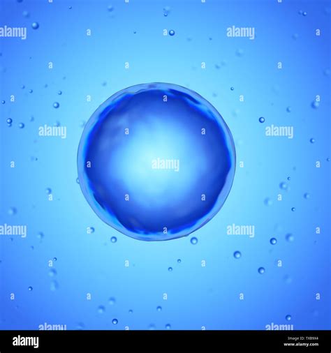 Human egg cell microscope hi-res stock photography and images - Alamy