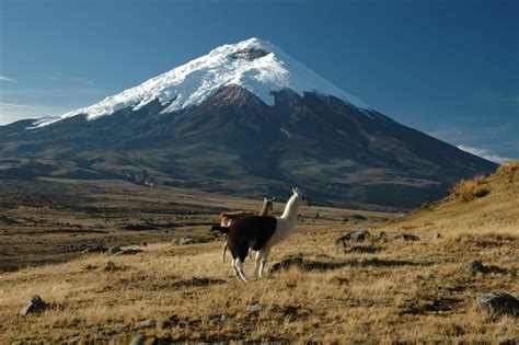 #남미 COTOPAXI TREK ECUADOR : 네이버 블로그