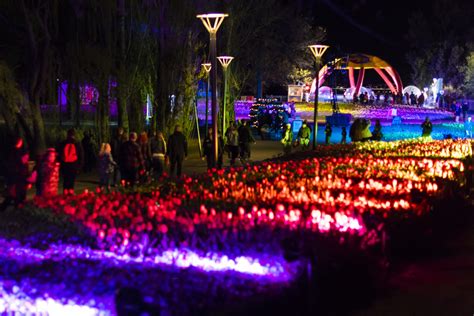 Floriade NightFest 2024 | Local Events | Novotel Canberra