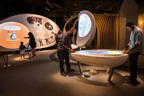 Interactive Science Exhibits at the Natural Science Museum