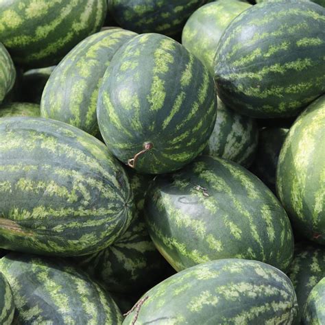 58th Annual Farmerville Watermelon Festival Returns Saturday — Louisiana Farm Bureau News