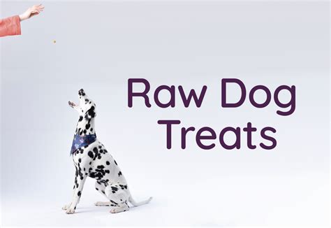 The Best Natural Raw Treats for Dogs – Rawgeous Pet Food