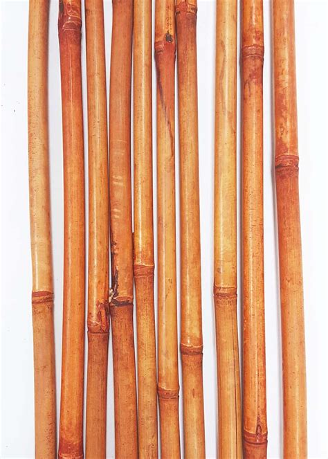 GreenFloralCrafts Decorative Bamboo Poles, 57 Inches (Nearly 5 FT) Tall, Set of 8 Bamboo Sticks ...