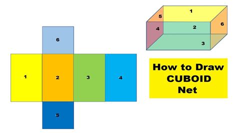 How To Draw The Net Of A Cuboid - Artistrestaurant2