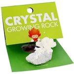 Crystal Growing Rock - Unique Gifts - Copernicus Toys — Perpetual Kid