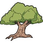 Trees in woods | Free SVG
