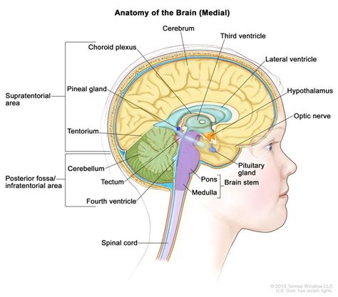 Childhood Astrocytomas Treatment (PDQ®)–Health Professional Version - NCI