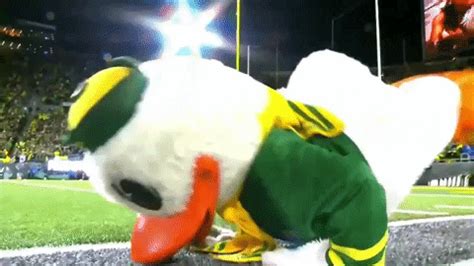 Go-ducks-go GIFs - Get the best GIF on GIPHY