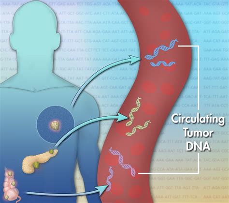 Liquid Biopsy ctDNA – Femina Healthcare