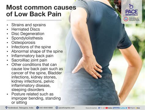 An overview of Low Back Pain | Causes, Risk Factors and Treatment - Dr ...