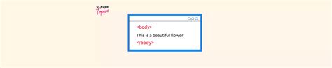 Container Tags in HTML - Scaler Topics