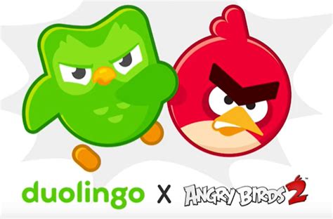 Duolingo owl joins Angry Birds in marketing crossover - Netimperative