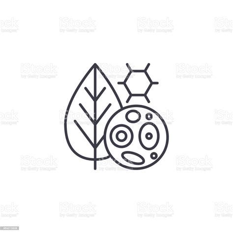 Plant Cells Linear Icon Concept Plant Cells Line Vector Sign Symbol Illustration Stock ...