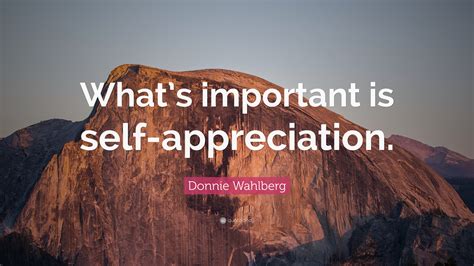 Donnie Wahlberg Quote: “What’s important is self-appreciation.”