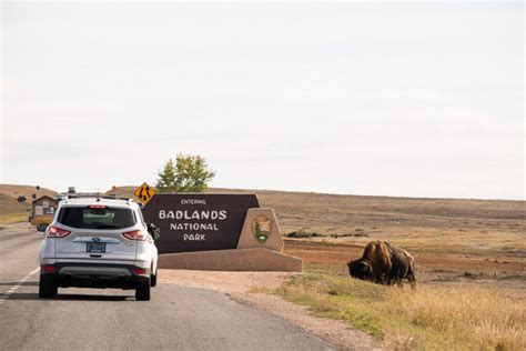 5 Best Places to See Wildlife in Badlands National Park - The National Parks Experience