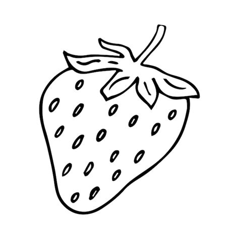 Premium Vector | Strawberry coloring book vector. line art of healthy berry black and white