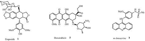 IJMS | Free Full-Text | A Mini Review of Novel Topoisomerase II ...