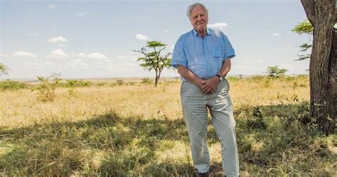 Netflix David Attenborough: A Life On Our Planet Review