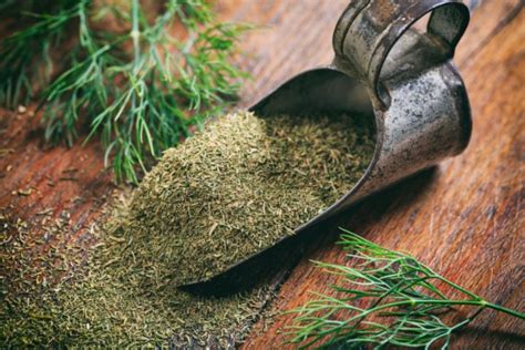 Dill vs. Dill Weed: How Are They Different or Similar? - Tastylicious