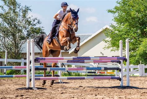 Two Grids to Improve Your Horse’s Jumping Technique | Tiere