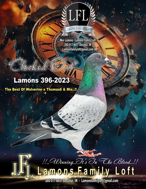 iPigeon.com - Racing Pigeon Auction