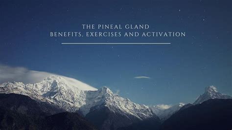 The Pineal Gland - Benefits, Exercises and Activation