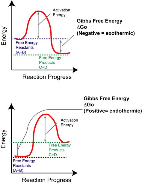 Endothermic Reaction Of Water at Janet Griswold blog