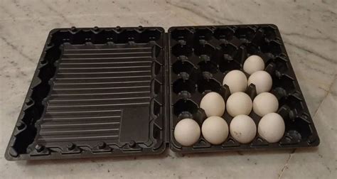 Plastic Egg Trays 30 Cavity, For Poultry Farms at Rs 15/piece in Mumbai | ID: 23259574912