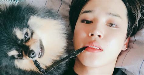 9 Times V's Dog Yeontan Overshadowed BTS - Koreaboo