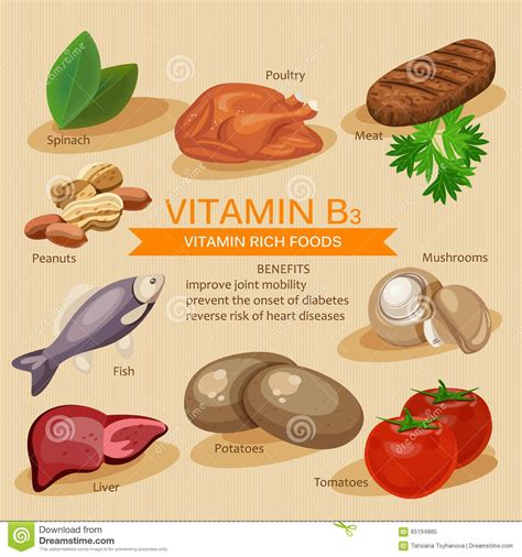 Vitamin B3. Vitamins and minerals foods. Vector flat icons graphic design… School Nutrition ...